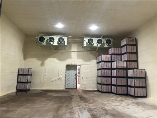 开元网页-开元(中国)
苹果冷库安装案例